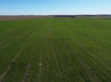 Foto1 · Venta Campo 490hás.