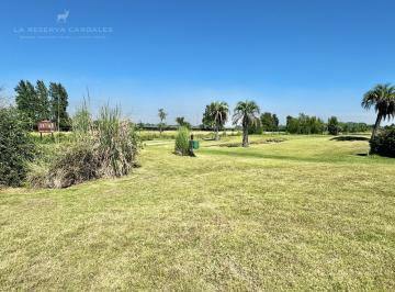 Terreno · 1067m² · Terreno en Venta Sobre Golf en La Reserva Cardales - Sofitel
