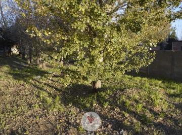 Terreno , General Belgrano · Lote de 400 m² | Entorno Tranquilo | Escrituracion Inmediata