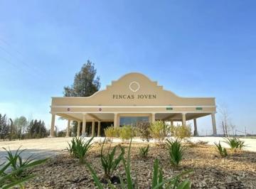 Terreno , San Vicente · Lote en Venta de 1000 m² Ubicado en Fincas Joven San Vicente