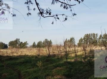 Campo · 250m² · Campo en Pilar