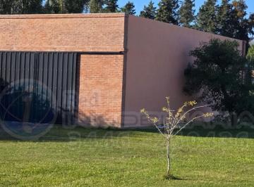 Terreno · 123m² · Dos Lotes en Esquina con Galpon Calle Doello Jurado
