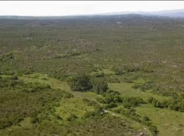 Campo , Nono · Venta Campo de 442 Ha Piedras Blancas. Nono. Cordoba