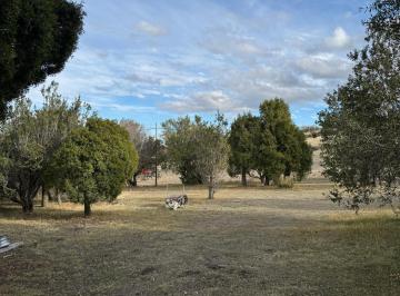 Terreno · 850m² · Oportunidad: Lote con Maitenes de 850 m² en Entorno Natural – Esquel