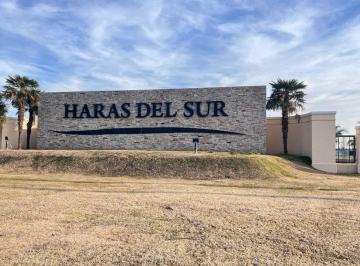 JYB-JYB-2199_2 · Departamento 2 Ambientes. | Haras del Sur III - Brandsen