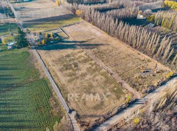 Campo · 100ha · Chacra en Venta Cipolletti