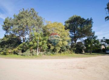 Casa · 217m² · 9 Ambientes · Venta 3 Casas Paso Carrasco Ideal Inversión