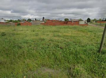 Terreno · 1650m² · Venta Cinco Lotes de Terreno Moreno