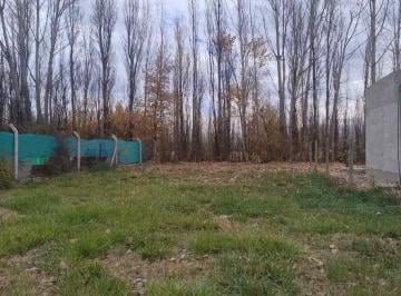 Terreno · 300m² · Lote en La Martina 1