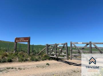 Terreno , La Carrera · Lote en Venta en Agua de Los Bayos, La Carrera, Tupungato, Mendoza