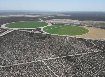 Campo · 1370000ha · Campo en Venta 137 Has en Zapata