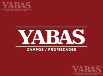 Campo · Campo en San Pedro