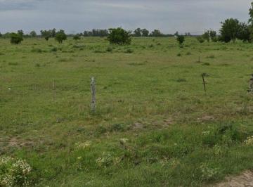 Campo · 180ha · Ha en Venta en La Capilla Florencio Varela