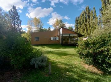 Terreno de 12 ambientes, Neuquén · Vendo Gran Terreno de 7.700 m², Galpón, con 8 Casas, Quincho, Forestado