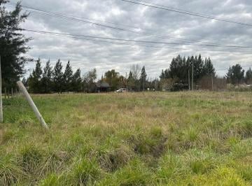 Terreno · 1000m² · Terreno en El Rodeo