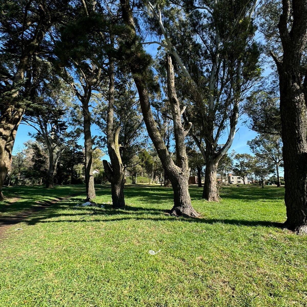 Excelente lote de 800 m² en Avenida Mario Bravo — Santa Celina