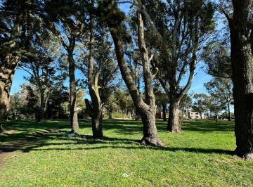 Terreno · 800m² · Terreno a La Venta en Santa Celina