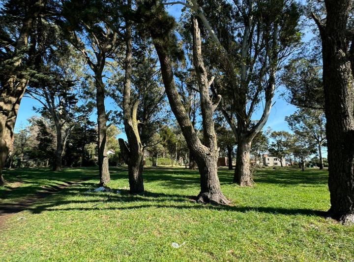 Terrenos en venta — RealXpertAI