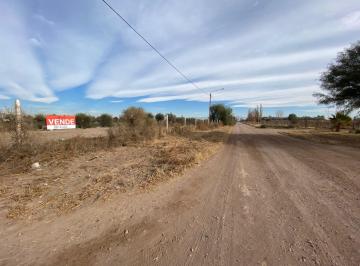 Campo , San Martín · Vórtice Inmobiliaria Vende Finca en Palmira, San Martín, Mendoza.