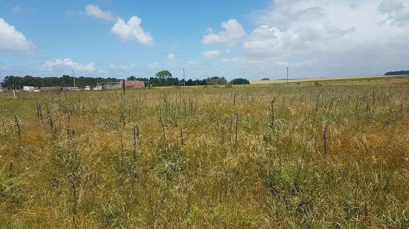 Lote 506m² con 15 mts de frente y 33,75 de fondo — buen entorno