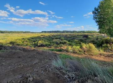 Terreno , Plottier · En Venta, Ha en Plottier Frente a Ex Ruta 22