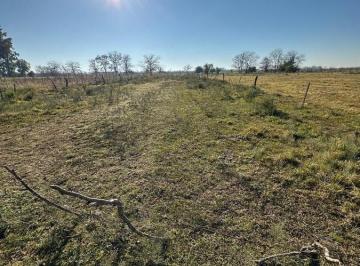 Terreno · 1000m² · Lote en Gowland Ideal Inversionistas