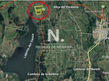 Foto1 · Campo Apto Para Fraccionar en Laguna del Sauce