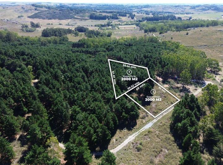 Terreno · 2000m²