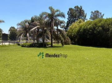 Terreno · 1229m² · Lote en Venta en El Lauquen