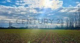 Campo · 1700000000m² · Venta Finca Tunuyán de 17 Ha con Cultivos