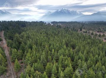 Terreno · 20ha · Lote de 2 Ha en Epuyen a m de Ruta 40 (So - 55)