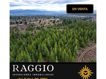 Terreno · 19932ha · Lote de 2 Ha en Epuyen a m de Ruta 40 (So - 55)