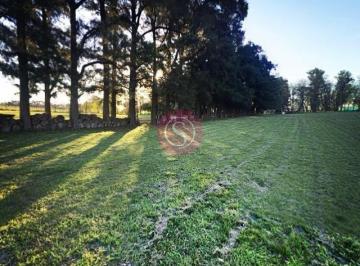 Terreno · 800m² · Lote en Venta, Barrio Chacras Petión, Cañuelas
