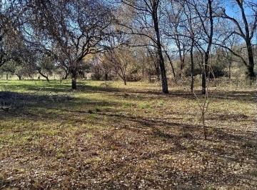 Terreno · 1000m² · Terreno en San Roque a 200 m del Lago
