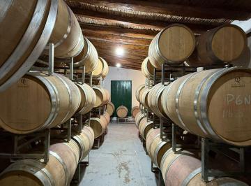 Bodega-Galpón , Chacras de Coria · Bodega en Venta en Chacras de Coria