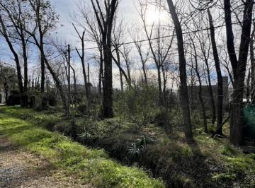 Terreno · 1594m² · Lotes Sobre