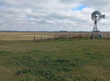 FAE-FAE-800_2 · Campo Mixto Gral Viamonte