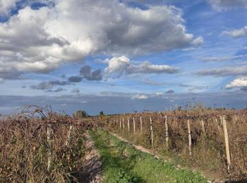 Campo · 270000ha · Finca en Venta Costa de Araujo, Lavalle