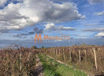 Campo · 27ha · Finca en Venta Costa de Araujo, Lavalle