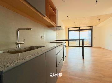 Departamento · 33m² · 1 Ambiente · Departamento en Venta en Edificio a Estrenar Primus