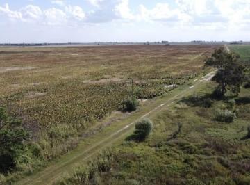 Terreno · 15850000m² · Campo en Venta en Arrufó, Sobre Ruta 39.