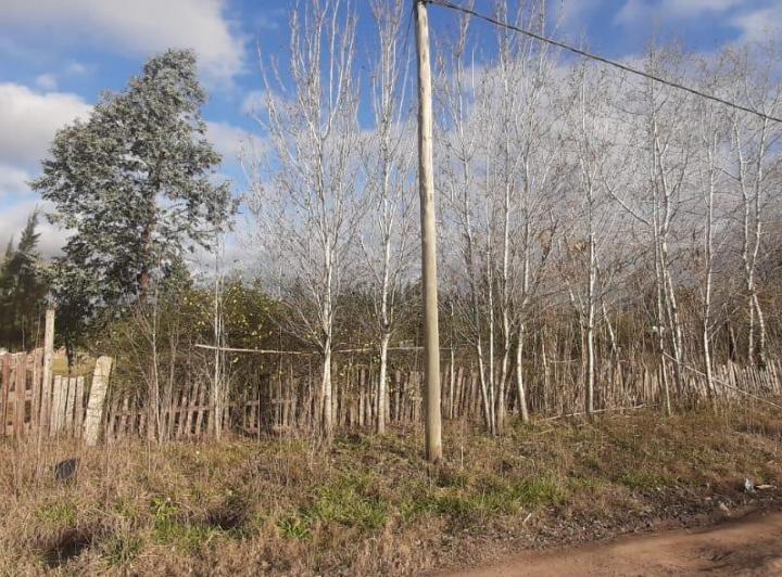Terreno · 1m²