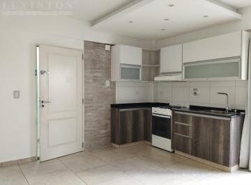 Departamento · 33m² · 1 Ambiente · Monoambiente Divisible con Patio, Bajas Expensas y Apto Crédito – V. Pueyrredón