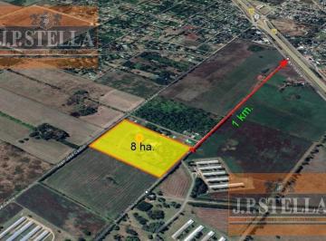Terreno · 696m² · 4 Ambientes · Fraccion 8 Ha - Casa Ppcial y de Caseros - Gral Rodriguez