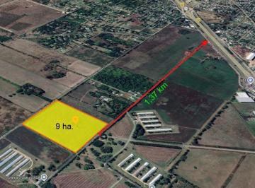 Terreno · 87608m² · Fraccion Industrial 9 Ha a 1,37 Km del Acceso Oeste - Gral Rodriguez