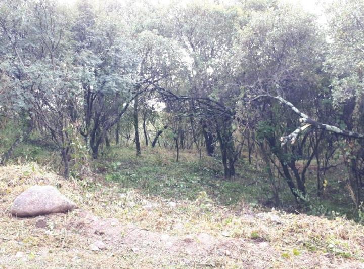 Terreno · 943m²
