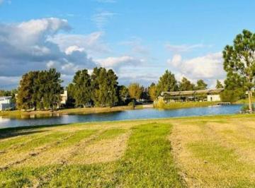 Terreno · 1029m² · Venta - Terreno Frente Al Lago, Puerto Roldan.