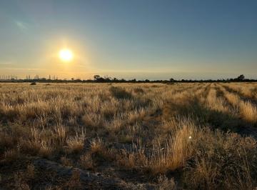 Campo · 480000m² · Campo en Reducción