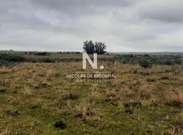 Foto1 · Campo en Maldonado - Garzon en Venta.