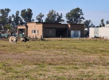 Terreno · 1158m² · Terreno en Venta Barrio El Nacional Gral Rodriguez